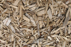 biomass boilers Colesden